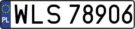 WLS78906