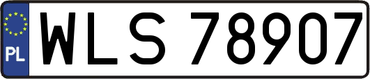 WLS78907