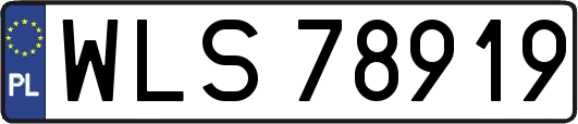 WLS78919