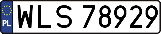 WLS78929