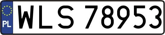 WLS78953