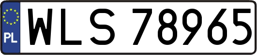 WLS78965
