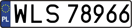 WLS78966