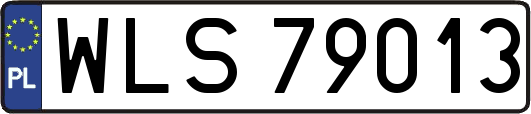 WLS79013