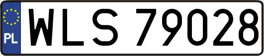 WLS79028