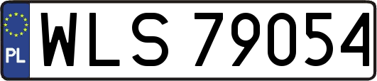WLS79054