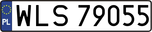 WLS79055