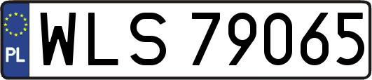 WLS79065