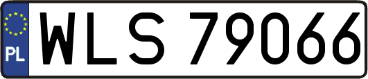WLS79066