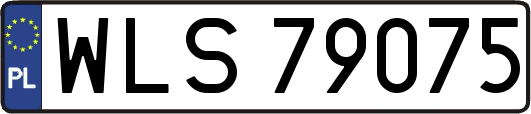 WLS79075
