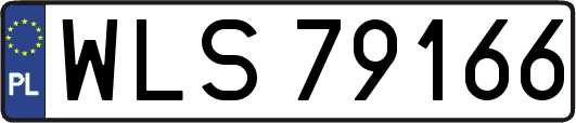 WLS79166