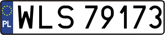 WLS79173