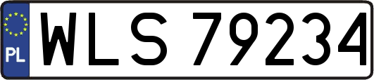WLS79234