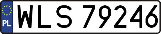 WLS79246