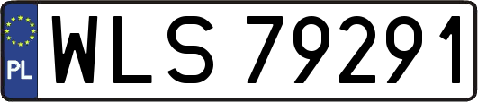 WLS79291
