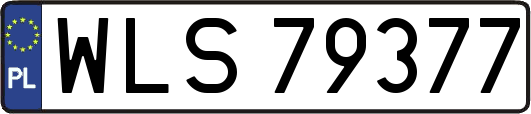 WLS79377
