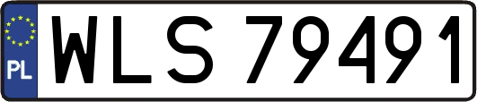 WLS79491