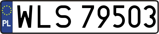 WLS79503