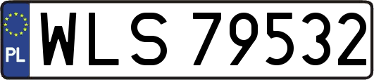WLS79532
