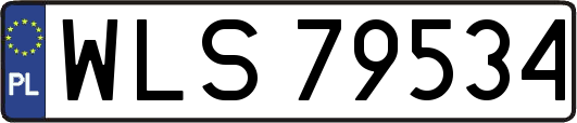 WLS79534