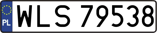 WLS79538