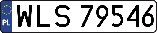 WLS79546