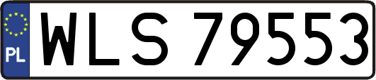 WLS79553