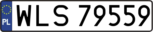 WLS79559
