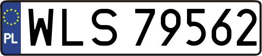 WLS79562