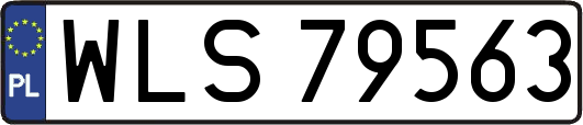 WLS79563