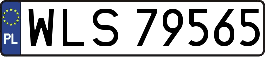 WLS79565