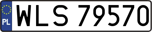 WLS79570