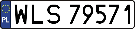 WLS79571