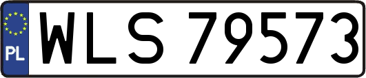 WLS79573
