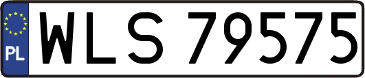 WLS79575