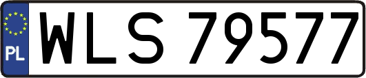 WLS79577
