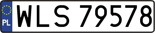 WLS79578