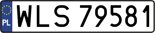 WLS79581