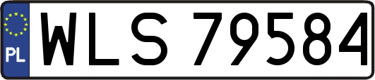 WLS79584