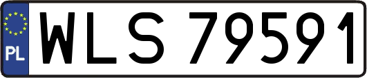 WLS79591