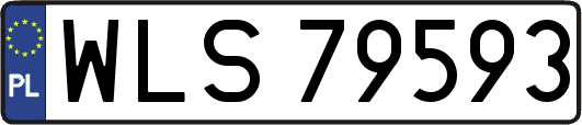 WLS79593