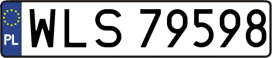 WLS79598