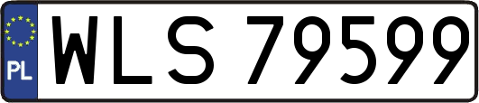 WLS79599