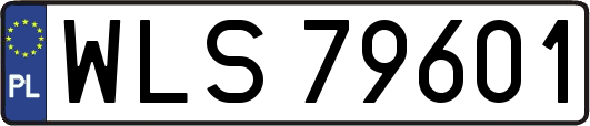 WLS79601