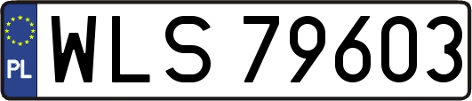 WLS79603