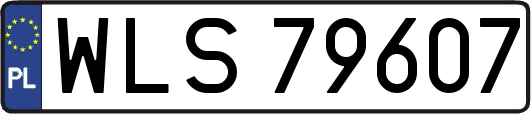 WLS79607