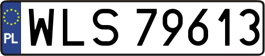 WLS79613