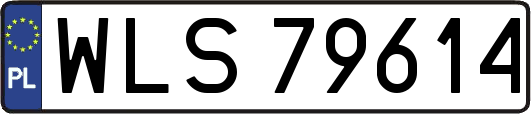 WLS79614