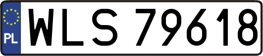WLS79618