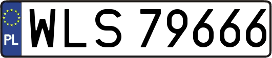 WLS79666